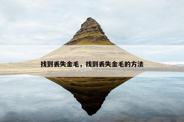 找到丢失金毛，找到丢失金毛的方法