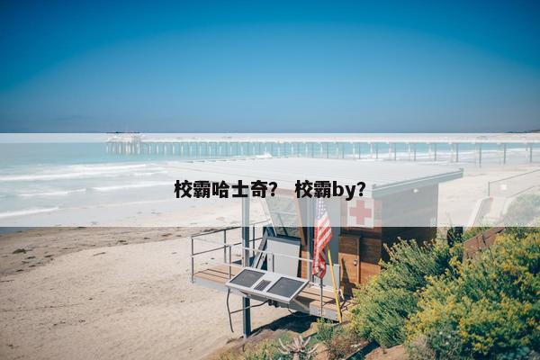 校霸哈士奇？ 校霸by？