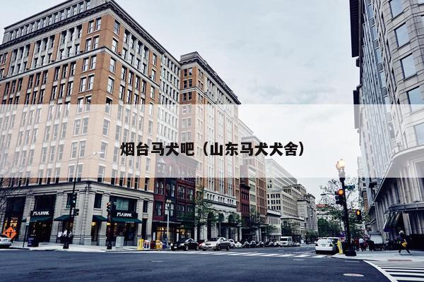 烟台马犬吧（山东马犬犬舍）