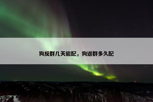 狗反群几天能配，狗返群多久配