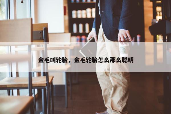 金毛叫轮胎，金毛轮胎怎么那么聪明