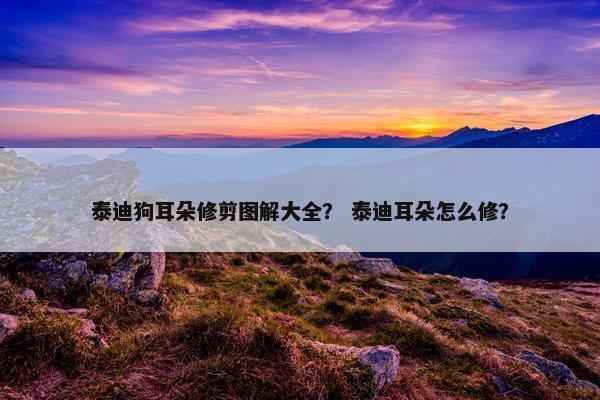 泰迪狗耳朵修剪图解大全？ 泰迪耳朵怎么修？