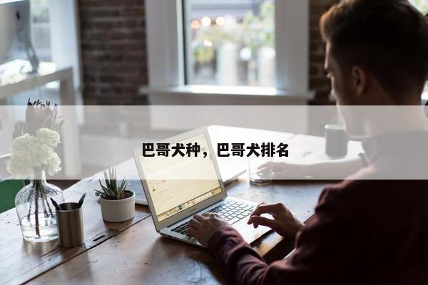 巴哥犬种，巴哥犬排名
