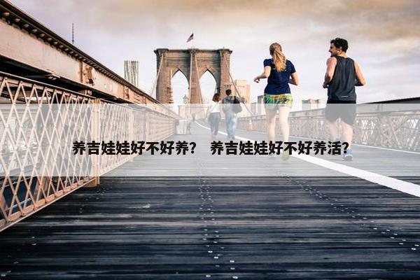 养吉娃娃好不好养？ 养吉娃娃好不好养活？