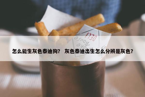 怎么能生灰色泰迪狗？ 灰色泰迪出生怎么分辨是灰色？
