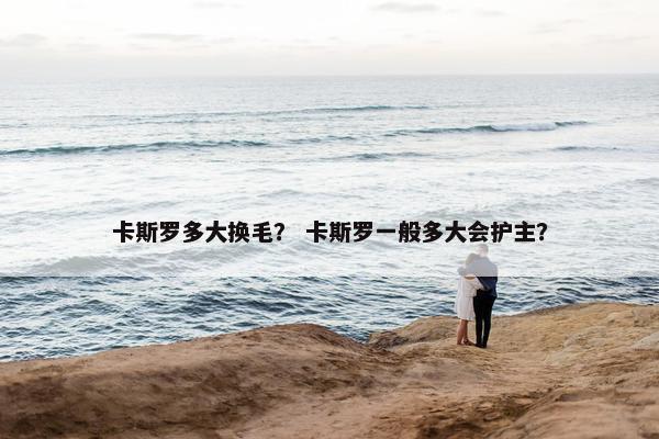 卡斯罗多大换毛？ 卡斯罗一般多大会护主？