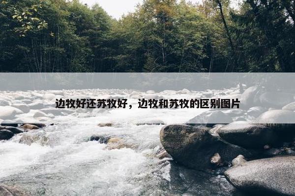 边牧好还苏牧好，边牧和苏牧的区别图片