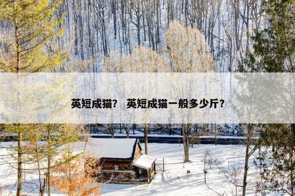 英短成猫？ 英短成猫一般多少斤？