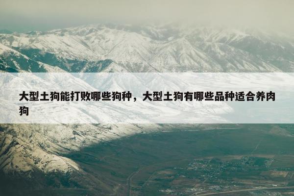 大型土狗能打败哪些狗种，大型土狗有哪些品种适合养肉狗