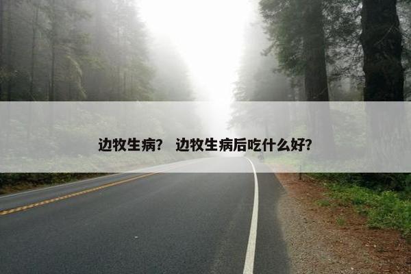 边牧生病？ 边牧生病后吃什么好？
