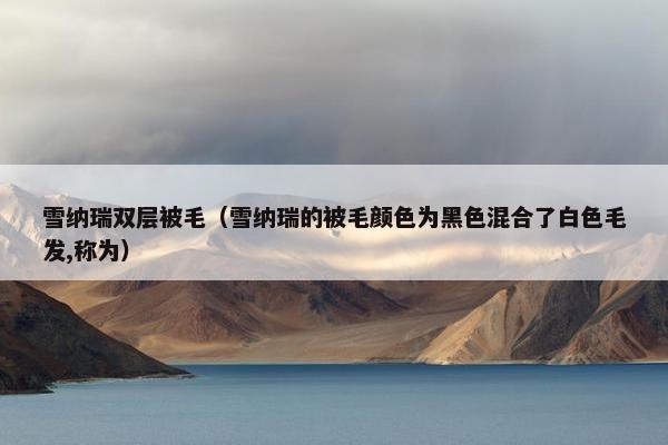 雪纳瑞双层被毛（雪纳瑞的被毛颜色为黑色混合了白色毛发,称为）