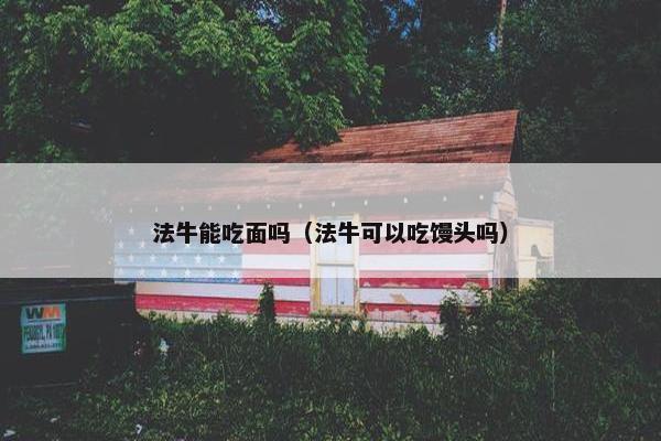 法牛能吃面吗（法牛可以吃馒头吗）