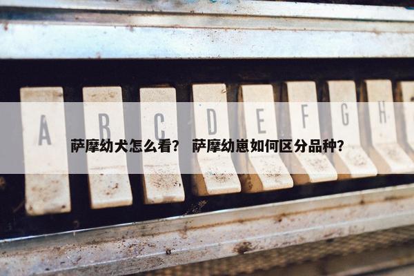 萨摩幼犬怎么看？ 萨摩幼崽如何区分品种？