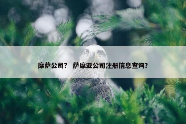 摩萨公司？ 萨摩亚公司注册信息查询？