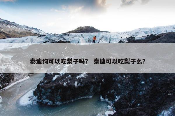 泰迪狗可以吃梨子吗？ 泰迪可以吃梨子么？
