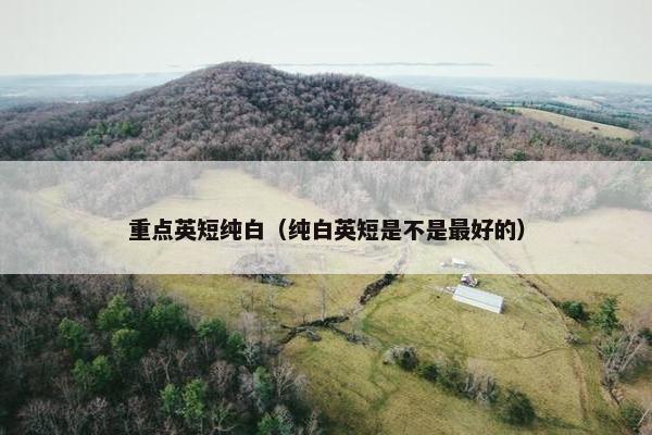重点英短纯白（纯白英短是不是最好的）