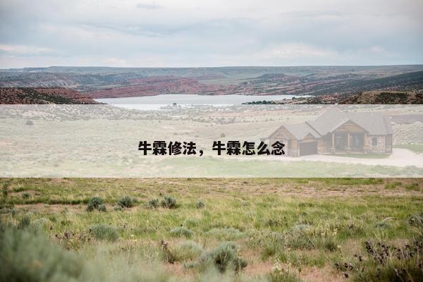 牛霖修法，牛霖怎么念