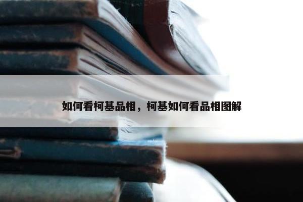 如何看柯基品相，柯基如何看品相图解