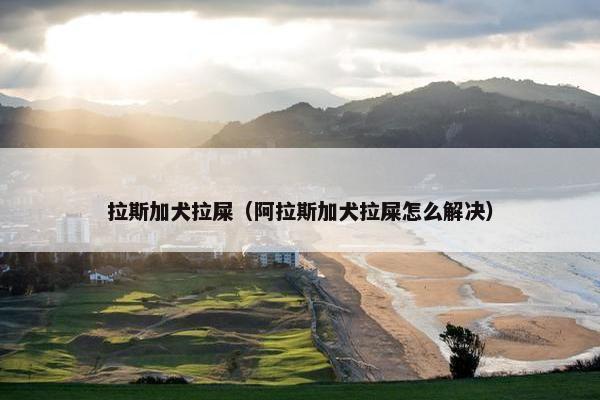 拉斯加犬拉屎（阿拉斯加犬拉屎怎么解决）