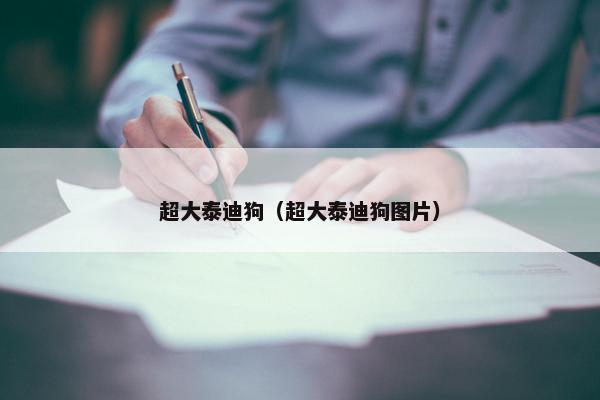 超大泰迪狗（超大泰迪狗图片）