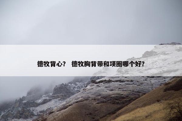 德牧背心？ 德牧胸背带和项圈哪个好？
