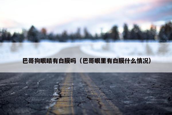 巴哥狗眼睛有白膜吗（巴哥眼里有白膜什么情况）