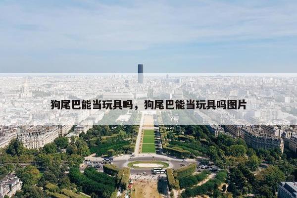 狗尾巴能当玩具吗，狗尾巴能当玩具吗图片