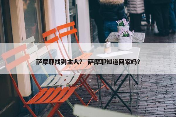 萨摩耶找到主人？ 萨摩耶知道回家吗？