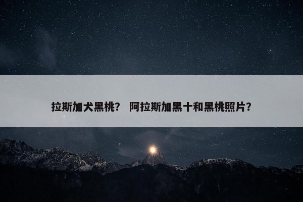 拉斯加犬黑桃？ 阿拉斯加黑十和黑桃照片？