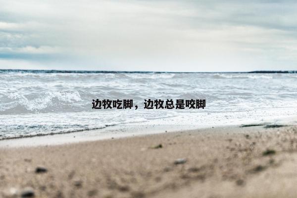 边牧吃脚，边牧总是咬脚