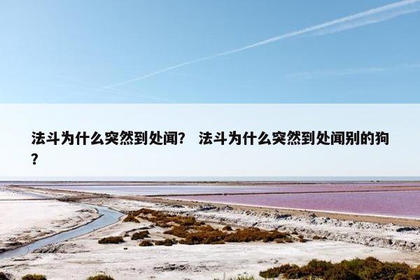 法斗为什么突然到处闻？ 法斗为什么突然到处闻别的狗？