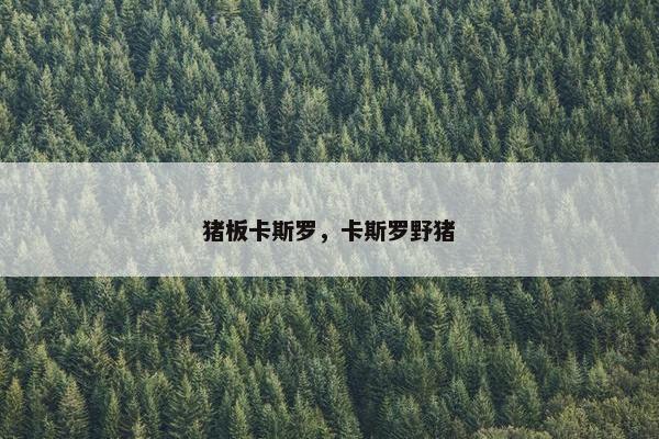 猪板卡斯罗，卡斯罗野猪