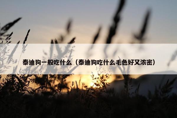 泰迪狗一般吃什么（泰迪狗吃什么毛色好又浓密）