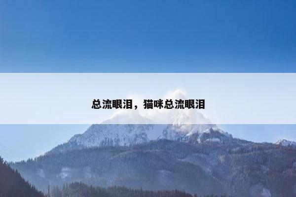 总流眼泪，猫咪总流眼泪