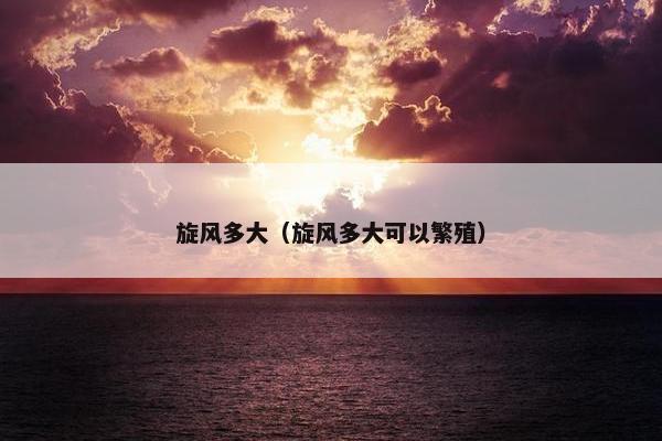 旋风多大（旋风多大可以繁殖）