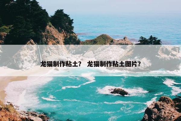 龙猫制作粘土？ 龙猫制作粘土图片？