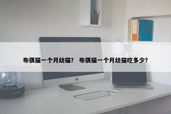 布偶猫一个月幼猫？ 布偶猫一个月幼猫吃多少？
