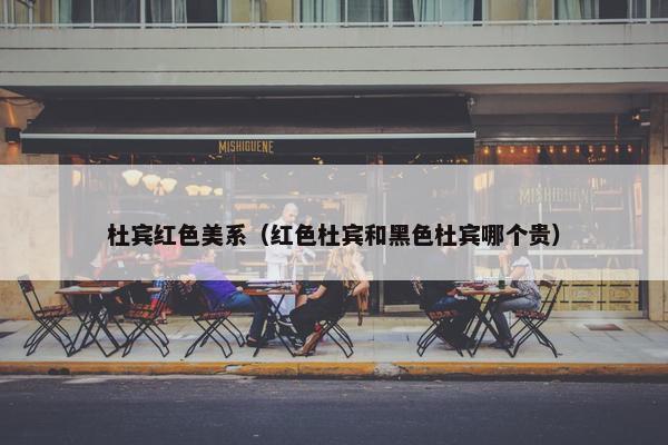 杜宾红色美系（红色杜宾和黑色杜宾哪个贵）
