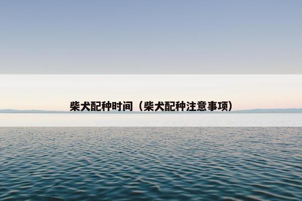 柴犬配种时间（柴犬配种注意事项）