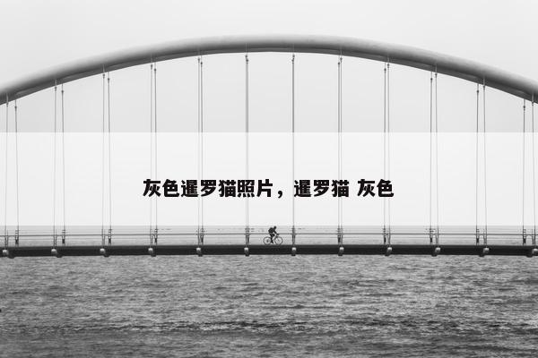 灰色暹罗猫照片，暹罗猫 灰色