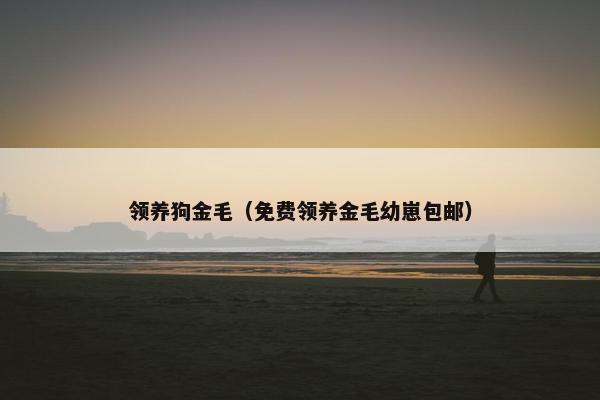领养狗金毛（免费领养金毛幼崽包邮）