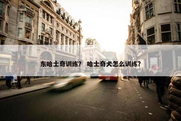 东哈士奇训练？ 哈士奇犬怎么训练？