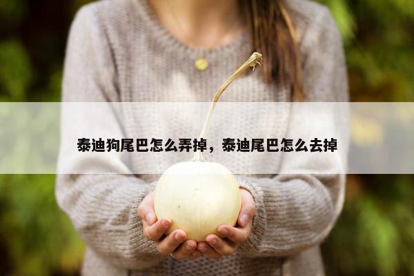 泰迪狗尾巴怎么弄掉，泰迪尾巴怎么去掉