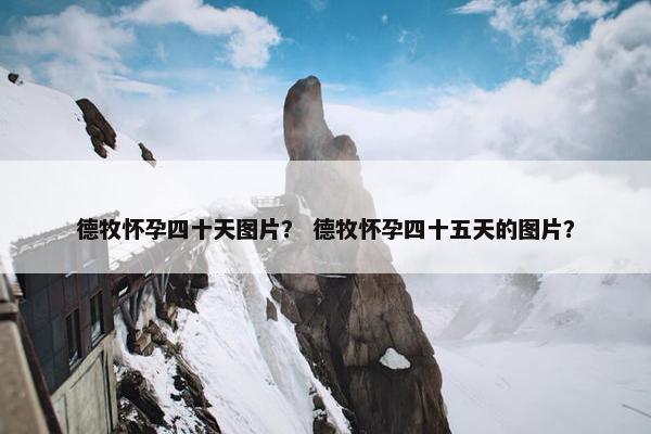 德牧怀孕四十天图片？ 德牧怀孕四十五天的图片？