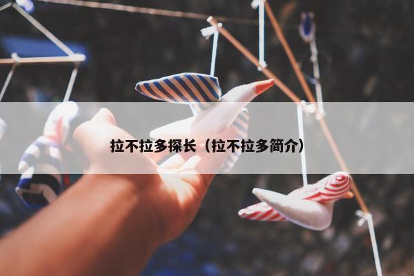 拉不拉多探长（拉不拉多简介）
