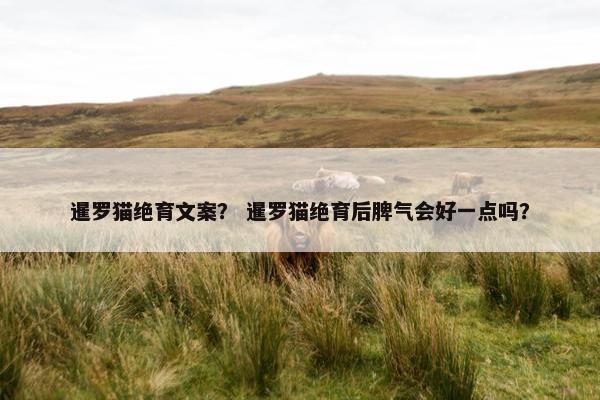 暹罗猫绝育文案？ 暹罗猫绝育后脾气会好一点吗？