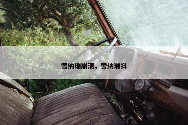 雪纳瑞崩溃，雪纳瑞抖