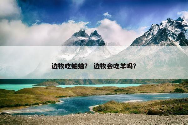 边牧吃蛐蛐？ 边牧会吃羊吗？