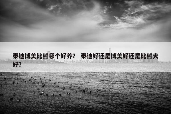 泰迪博美比熊哪个好养？ 泰迪好还是博美好还是比熊犬好？