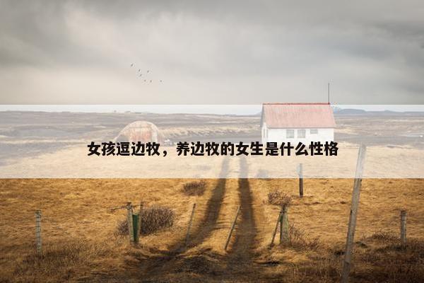 女孩逗边牧，养边牧的女生是什么性格